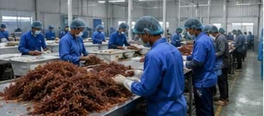 Processing and quality check of seaweed
